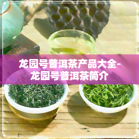 龙园号普洱茶产品大全-龙园号普洱茶简介