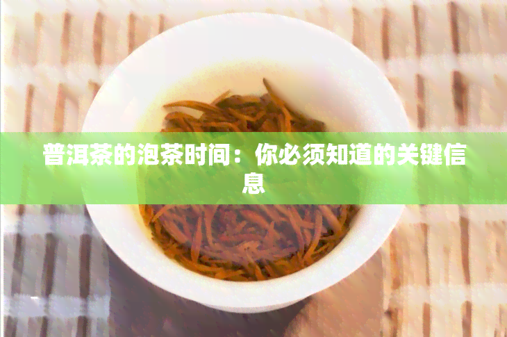 普洱茶的泡茶时间：你必须知道的关键信息