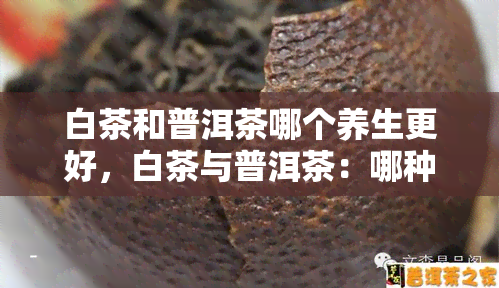 白茶和普洱茶哪个养生更好，白茶与普洱茶：哪种茶叶更适合养生？