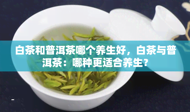 白茶和普洱茶哪个养生好，白茶与普洱茶：哪种更适合养生？