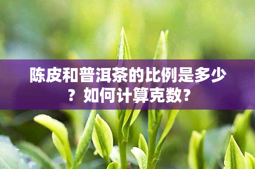 陈皮和普洱茶的比例是多少？如何计算克数？