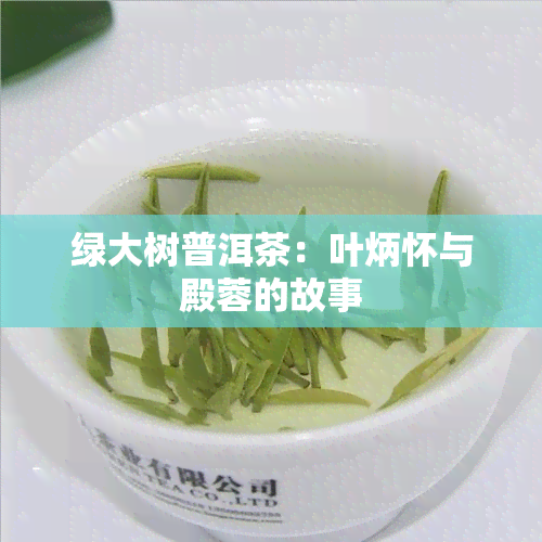 绿大树普洱茶：叶炳怀与殿蓉的故事