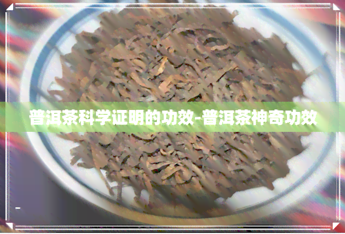 普洱茶科学证明的功效-普洱茶神奇功效