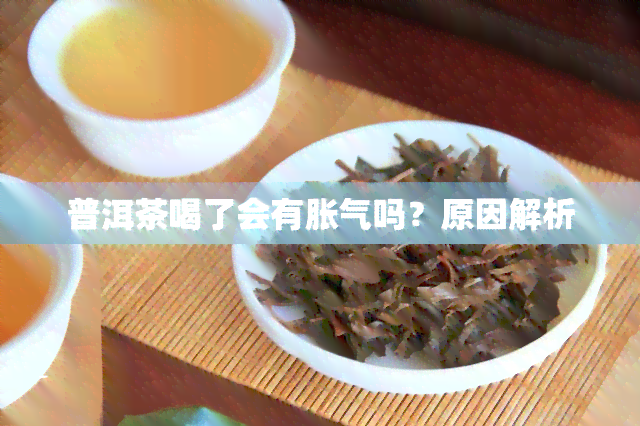 普洱茶喝了会有胀气吗？原因解析