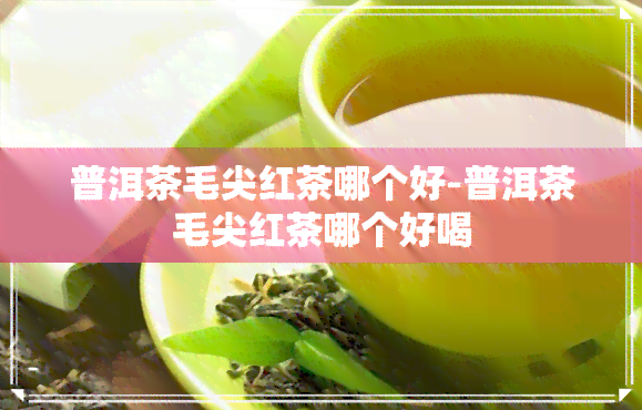 普洱茶毛尖红茶哪个好-普洱茶毛尖红茶哪个好喝