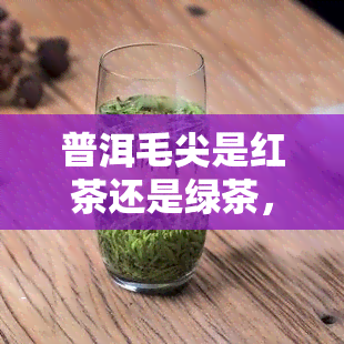 普洱毛尖是红茶还是绿茶，普洱毛尖：是红茶还是绿茶？