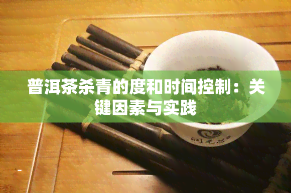 普洱茶杀青的度和时间控制：关键因素与实践