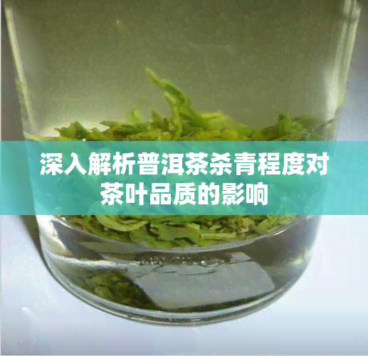 深入解析普洱茶杀青程度对茶叶品质的影响