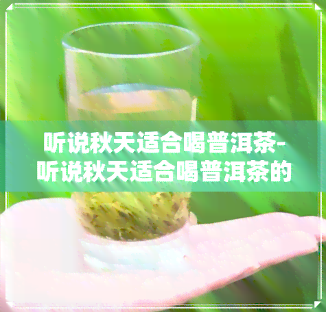 听说秋天适合喝普洱茶-听说秋天适合喝普洱茶的句子