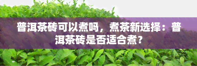 普洱茶砖可以煮吗，煮茶新选择：普洱茶砖是否适合煮？