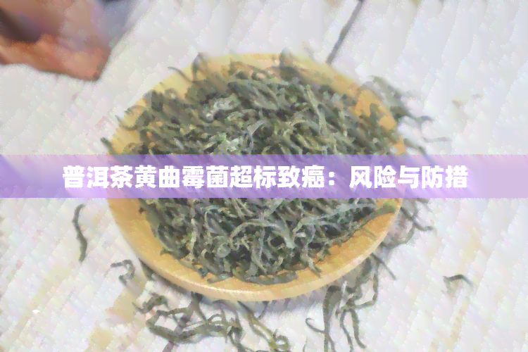 普洱茶黄曲霉菌超标致癌：风险与防措