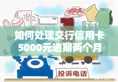 如何处理交行信用卡5000元逾期两个月的问题？