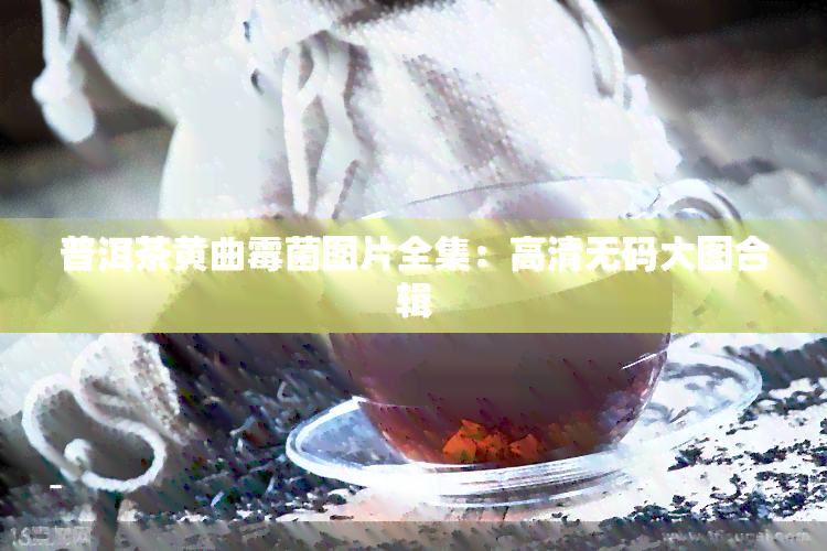 普洱茶黄曲霉菌图片全集：高清 *** 大图合辑