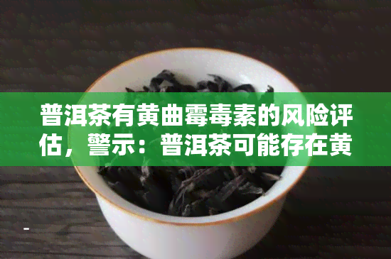 普洱茶有黄曲霉素的风险评估，警示：普洱茶可能存在黄曲霉素风险，消费者需谨购买和饮用