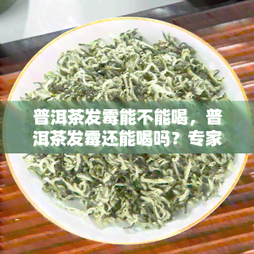 普洱茶发霉能不能喝，普洱茶发霉还能喝吗？专家告诉你真相！