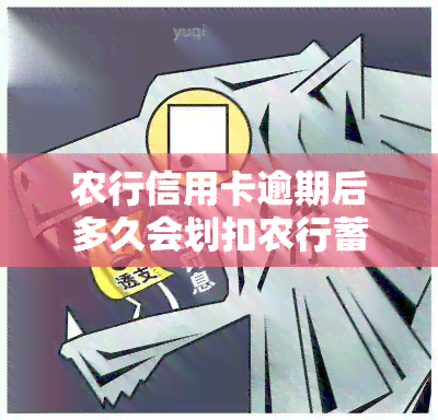 农行信用卡逾期后多久会划扣农行蓄卡上的钱？2021年农行信用卡逾期新法规解析