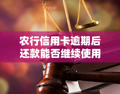 农行信用卡逾期后还款能否继续使用？影响及解决方案