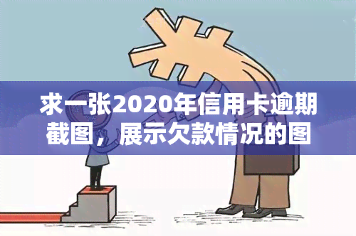 求一张2020年信用卡逾期截图，展示欠款情况的图片