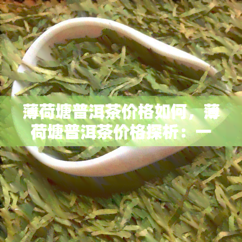 薄荷塘普洱茶价格如何，薄荷塘普洱茶价格探析：一次深入了解的旅程