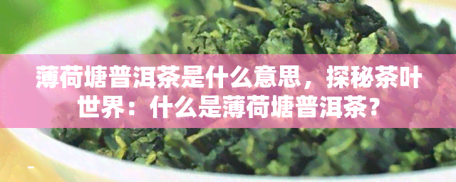 薄荷塘普洱茶是什么意思，探秘茶叶世界：什么是薄荷塘普洱茶？