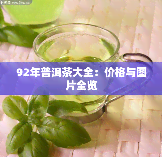 92年普洱茶大全：价格与图片全览