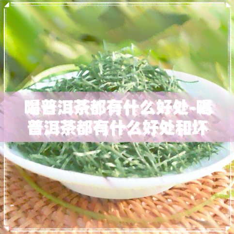 喝普洱茶都有什么好处-喝普洱茶都有什么好处和坏处