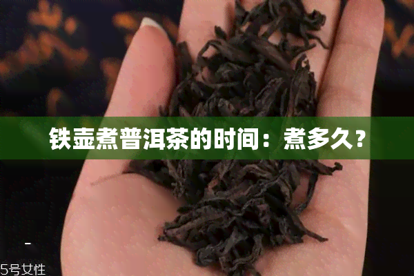 铁壶煮普洱茶的时间：煮多久？