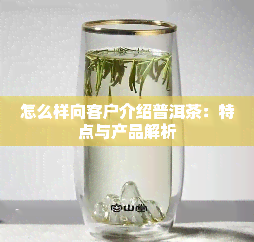 怎么样向客户介绍普洱茶：特点与产品解析