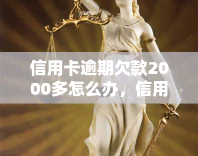 信用卡逾期欠款2000多怎么办，信用卡逾期欠款2000多元，应该采取什么措？