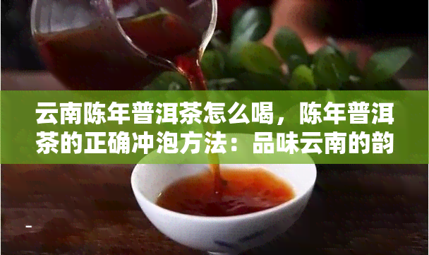 云南陈年普洱茶怎么喝，陈年普洱茶的正确冲泡方法：品味云南的韵味