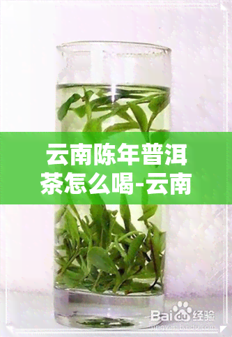 云南陈年普洱茶怎么喝-云南陈年普洱茶怎么喝