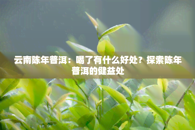 云南陈年普洱：喝了有什么好处？探索陈年普洱的健益处