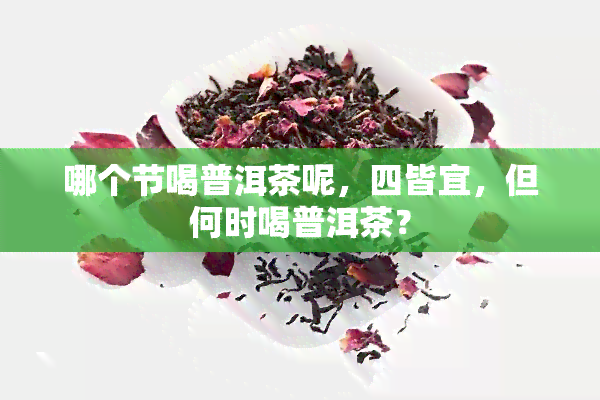 哪个节喝普洱茶呢，四皆宜，但何时喝普洱茶？