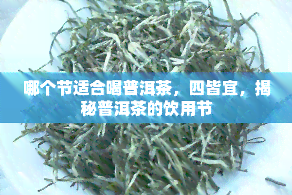 哪个节适合喝普洱茶，四皆宜，揭秘普洱茶的饮用节