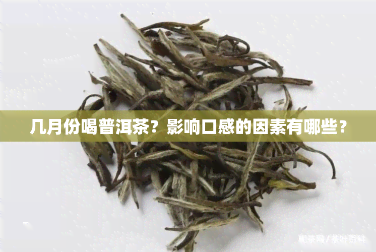 几月份喝普洱茶？影响口感的因素有哪些？