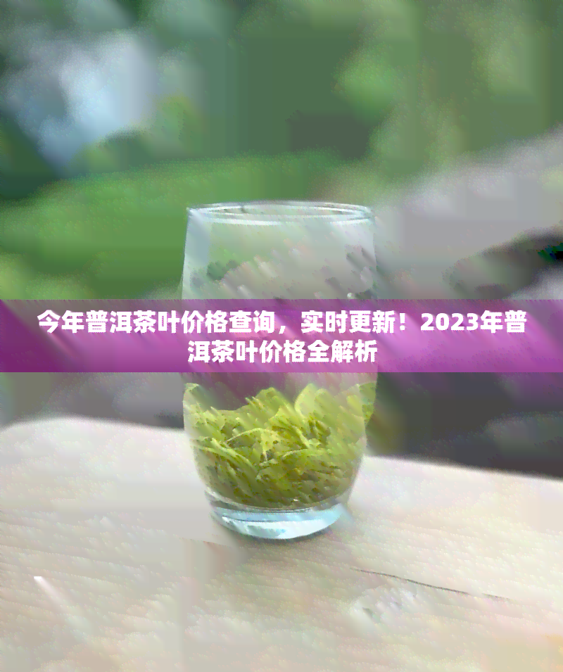 今年普洱茶叶价格查询，实时更新！2023年普洱茶叶价格全解析