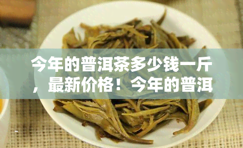 今年的普洱茶多少钱一斤，最新价格！今年的普洱茶每斤售价多少？