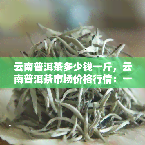 云南普洱茶多少钱一斤，云南普洱茶市场价格行情：一斤多少钱？