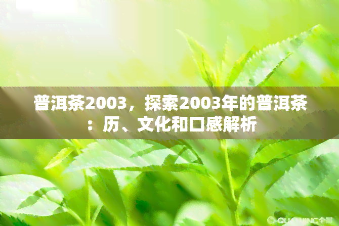 普洱茶2003，探索2003年的普洱茶：历、文化和口感解析