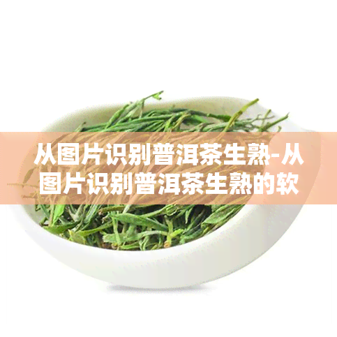 从图片识别普洱茶生熟-从图片识别普洱茶生熟的软件