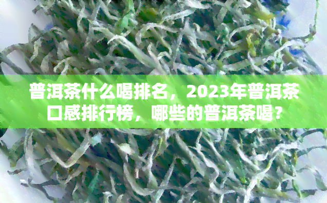 普洱茶什么喝排名，2023年普洱茶口感排行榜，哪些的普洱茶喝？