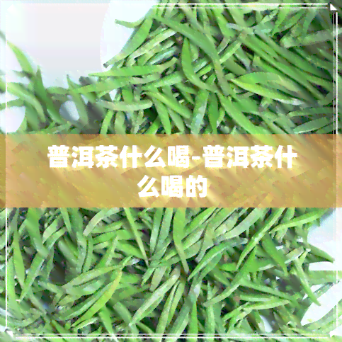 普洱茶什么喝-普洱茶什么喝的