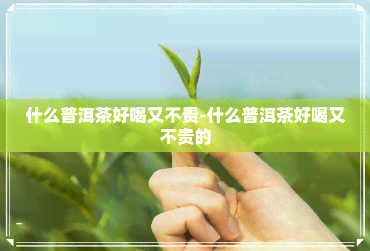 什么普洱茶好喝又不贵-什么普洱茶好喝又不贵的