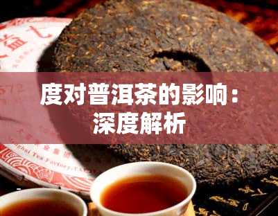 度对普洱茶的影响：深度解析