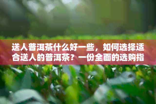 送人普洱茶什么好一些，如何选择适合送人的普洱茶？一份全面的选购指南