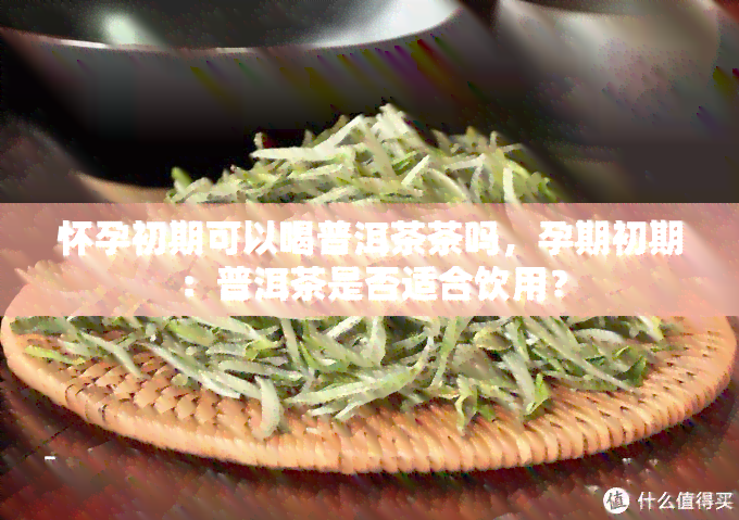 怀孕初期可以喝普洱茶茶吗，孕期初期：普洱茶是否适合饮用？