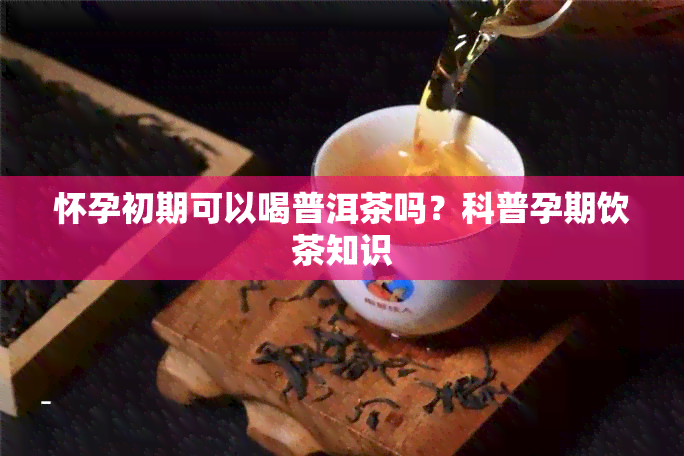 怀孕初期可以喝普洱茶吗？科普孕期饮茶知识