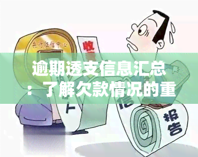 逾期透支信息汇总：了解欠款情况的重要工具