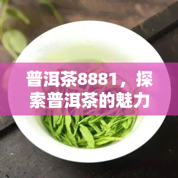 普洱茶8881，探索普洱茶的魅力：8881号的传奇故事与品尝指南