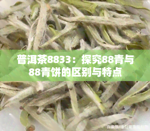 普洱茶8833：探究88青与88青饼的区别与特点